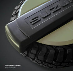 Tyre Cover (Painted)