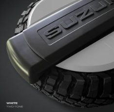Tyre Cover (Painted)